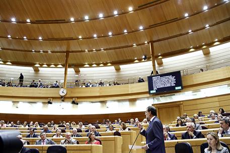 30/09/2014. Rajoy asiste a la sesión de control en el Senado. El presidente del Gobierno, Mariano Rajoy, durante una de las respuestas en la...