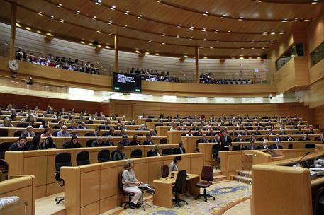 21/02/2017. Sesión de control en el Senado. El presidente del Gobierno, Mariano Rajoy, durante su intervención en la sesión de control en el Senado.