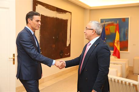 2/10/2018. Sánchez se reúne con el presidente del Comité Olímpico Español. El presidente del Gobierno, Pedro Sánchez, saluda al presidente d...