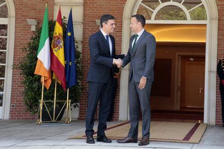 14/06/2018. Pedro Sánchez recibe al primer ministro de Irlanda. El presidente del Gobierno, Pedro Sánchez, saluda al primer ministro de Irla...