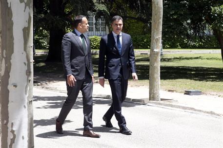 14/06/2018. Pedro Sánchez recibe al primer ministro de Irlanda. El presidente del Gobierno, Pedro Sánchez, y el primer ministro de Irlanda, ...