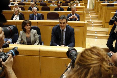 19/06/2018. Sánchez asiste a la sesión de control al Gobierno en el Senado. Pedro Sánchez, al inicio de la primera sesión de control al Ejec...