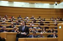El presidente del Gobierno, Mariano Rajoy, interviene en la sesión de control del Senado