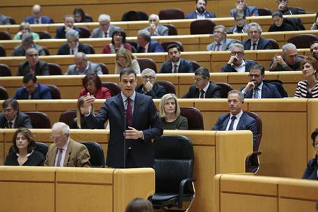19/02/2019. Pedro Sánchez asiste a la sesión de control en el Senado. El presidente del Gobierno, Pedro Sánchez, durante su intervención.
