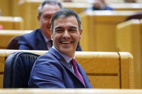 12/03/2024. El presidente participa en la sesión de control en el Senado. El presidente del Gobierno, Pedro Sánchez, durante la sesión de co...