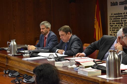 El ministro Luis Planas durante su comparecencia en el Senado