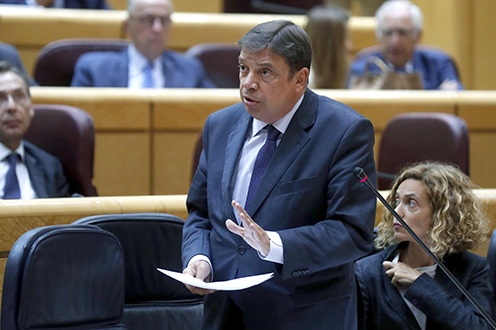 El ministro de Agricultura, Pesca y Alimentación, Luis Planas, en la sesión de control al Gobierno en el Senado