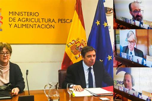 El ministro Luis Planas, durante la videoconferencia con los representantes del sector pesquero y acuícola español
