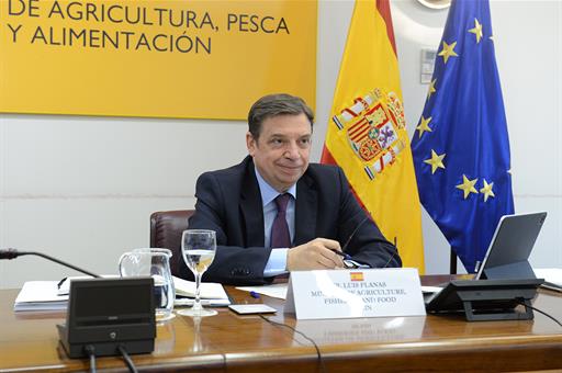 El ministro Luis Planas, durante la reunión por videoconferencia, 