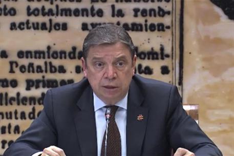 El ministro de Agricultura, Pesca y Alimentación, Luis Planas, durante su comparencia en la Comisión de Pesca del Senado.