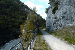 Camino Natural-Vía Verde del Plazaola