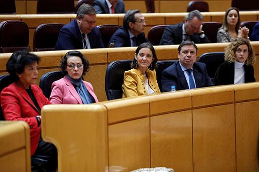 La ministra de Educación y Formación Profesional, Isabel Celaá, durante la sesión de control al Gobierno en el Senado