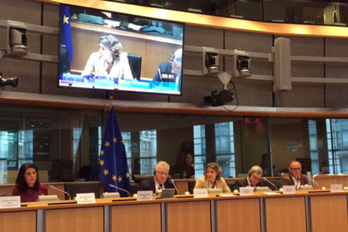 12/11/2015. La ministra Tejerina en la Comisión de Agricultura y Desarrollo Rural del Parlamento Europeo.