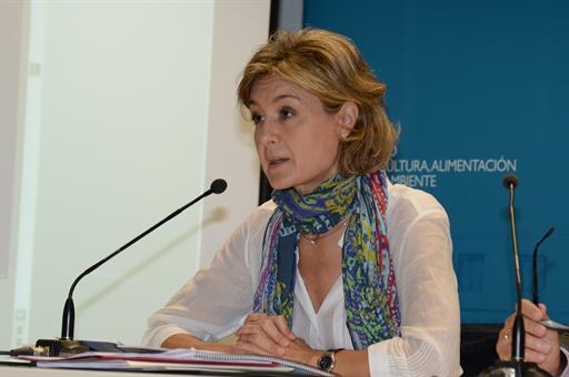 11/08/2014. Isabel Gacía Tejerina