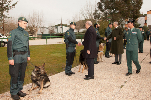 Adiestramiento de perros de la Guardia Civil