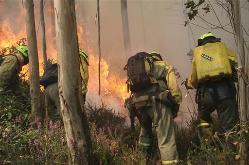 Brigada de Refuerzo de Incendios Forestales (BRIF) trabajando para sofocar un fuego