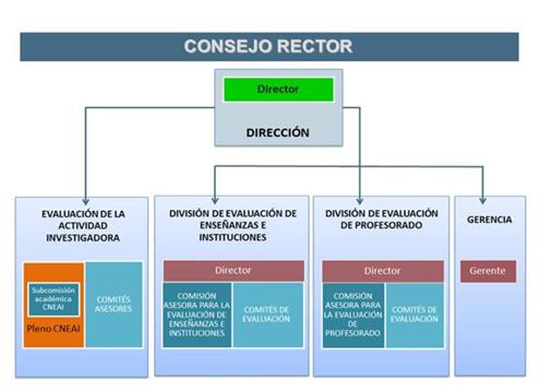 CONSEJO RECTOR