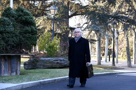 14/01/2020. Manuel Castells Oliván. El ministro de Cultura, Manuel Castells, pasea por los jardines de La Moncloa