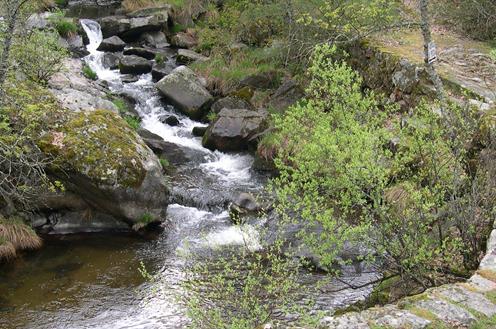 2. Paisaje Valsaín. Ministerio de Agricultura, Alimentación y Medio Ambiente.jpg