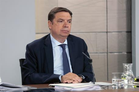 20/09/2019. Consejo de Ministros: Celaá, Planas y Marlaska. El ministro de Agricultura, Pesca y Alimentación en funciones, Luis Planas, dura...