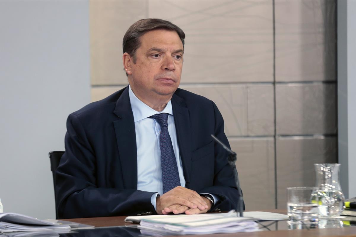 20/09/2019. Consejo de Ministros: Celaá, Planas y Marlaska. El ministro de Agricultura, Pesca y Alimentación en funciones, Luis Planas, dura...