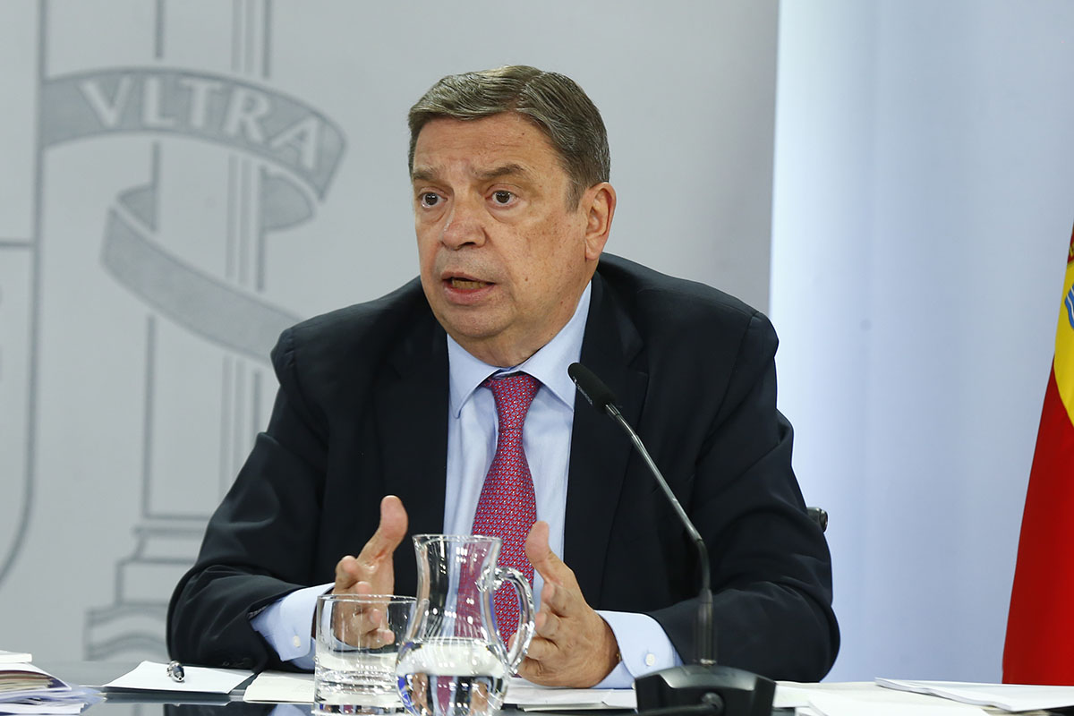 Luis Planas durante la rueda de prensa posterior al Consejo de Ministros