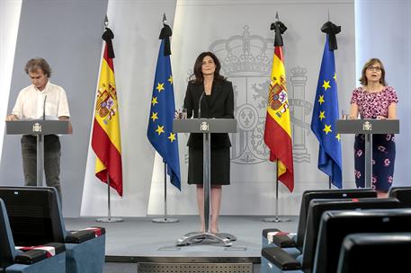 4/06/2020. Rueda de prensa telemática de presentación de las conclusiones de la segunda ronda del estudio ENE-Covid. Intervenciones de Ferna...