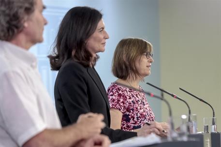 4/06/2020. Rueda de prensa telemática de presentación de las conclusiones de la segunda ronda del estudio ENE-Covid. Intervenciones de Ferna...