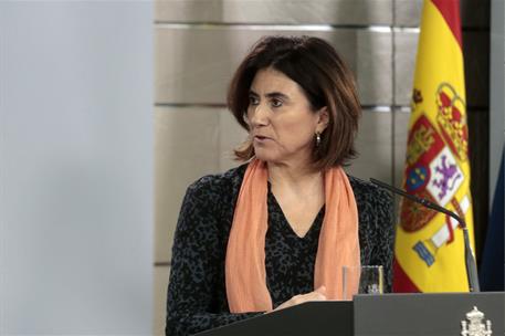 13/04/2020. Rueda de prensa telemática tras la reunión del Comité de Gestión Técnica del Coronavirus. Intervención de María José Sierra, jef...