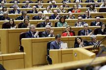 El presidente del Gobierno, Mariano Rajoy, durante la sesión de control al Gobierno en el Senado