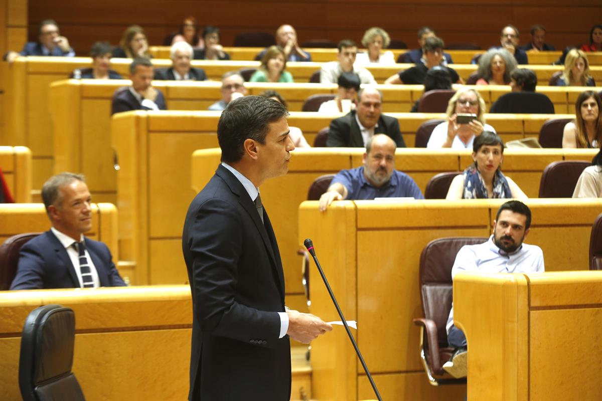 19/06/2018. Sánchez asiste a la sesión de control al Gobierno en el Senado. Pedro Sánchez, durante una de sus intervenciones en la primera s...