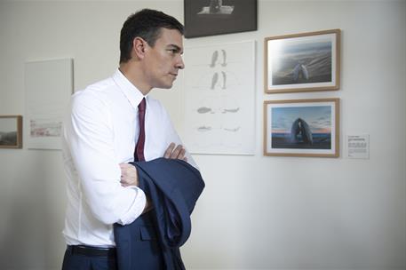 23/11/2018. Viaje de Pedro Sánchez a Cuba. El presidente del Gobierno, Pedro Sánchez, observa una de las obras expuestas durante la inaugura...