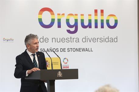 3/07/2019. Sánchez recibe a representanes de colectivos LGBI. El ministro del Interior en funciones, Fernando Grande-Marlaska, durante su in...