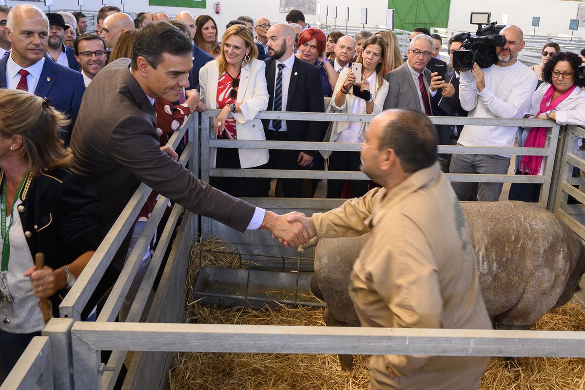 3/10/2019. Pedro Sánchez, en la Feria Internacional Ganadera de Zafra (Badajoz). El presidente del Gobierno en funciones, Pedro Sánchez, sal...