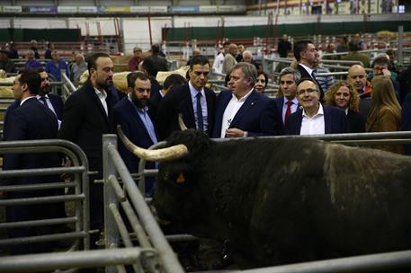 12/03/2019. Pedro Sánchez visita Cantabria. El presidente del Gobierno, Pedro Sánchez, visita el Mercado Nacional de Ganados "Jesús Collado ...