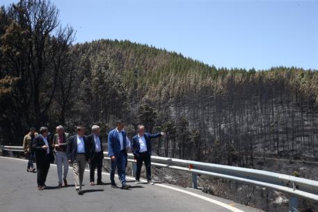 22/08/2019. Pedro Sánchez visita las zonas afectadas por el incendio de Valleseco en la isla de Gran Canaria. El presidente del Gobierno en ...
