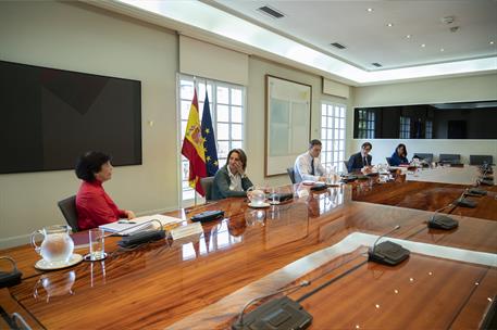 14/06/2020. Conferencia con los presidentes autonómicos. El presidente del Gobierno, Pedro Sánchez, durante la conferencia telemática manten...