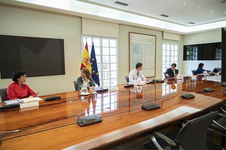 14/06/2020. Conferencia con los presidentes autonómicos. El presidente del Gobierno, Pedro Sánchez, durante la conferencia telemática manten...