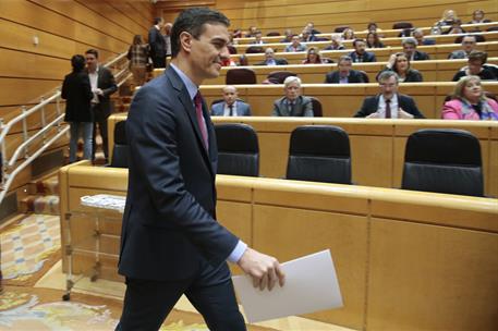 25/02/2020. Pedro Sánchez asiste a la sesión de control del Senado. El presidente del Gobierno, Pedro Sánchez, en la sesión de control del Senado.