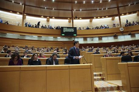 25/02/2020. Pedro Sánchez asiste a la sesión de control del Senado. El presidente del Gobierno, Pedro Sánchez, durante una de sus intervenci...