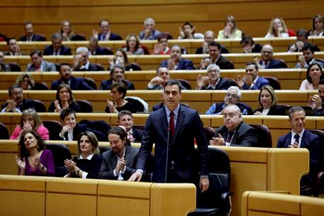Pedro Sánchez asiste a la sesión de control del Senado Pedro Sánchez asiste a la sesión de control del Senado
