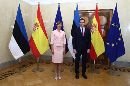 7/07/2021. Viaje del presidente del Gobierno a Estonia (segunda jornada). El presidente del Gobierno, Pedro Sánchez, junto a la presidenta d...