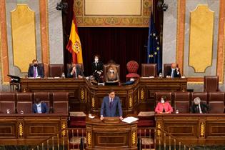 El presidente del Gobierno, Pedro S&aacute;nchez, durante su comparecencia ante el Pleno del Congreso de los Diputados