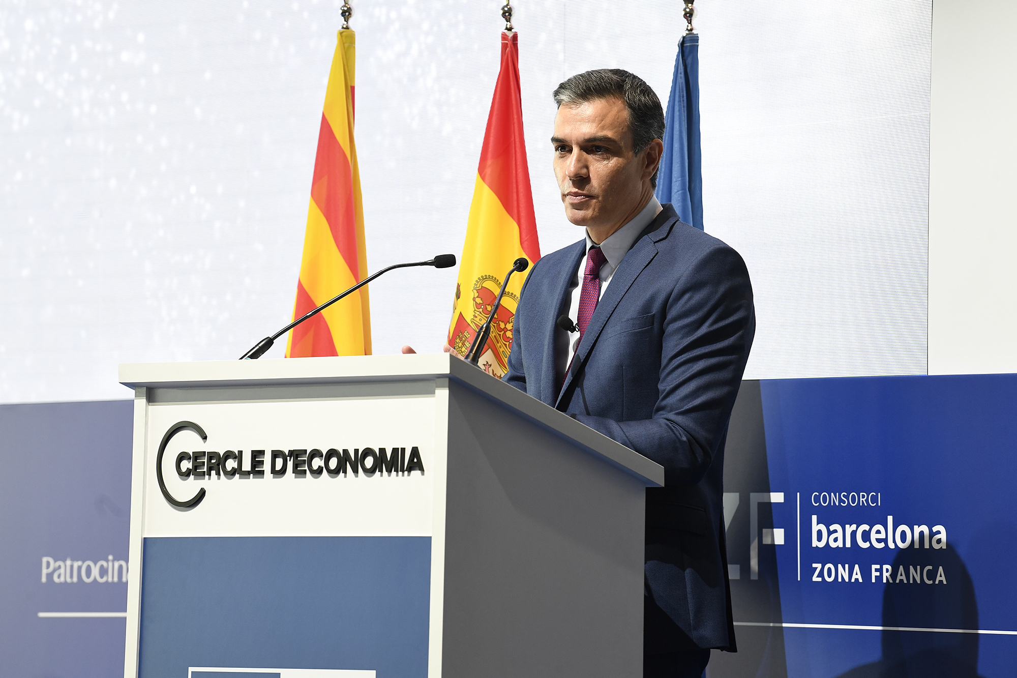 El presidente del Gobierno, Pedro Sánchez, durante su intervención