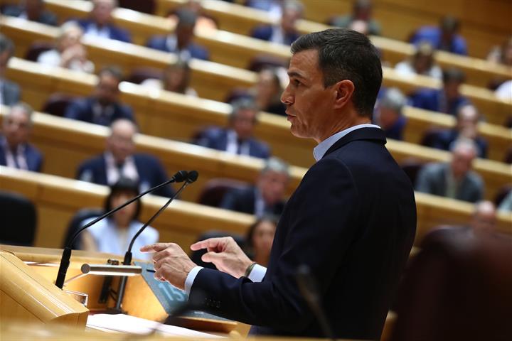 El presidente del Gobierno, Pedro Sánchez, durante su intervención