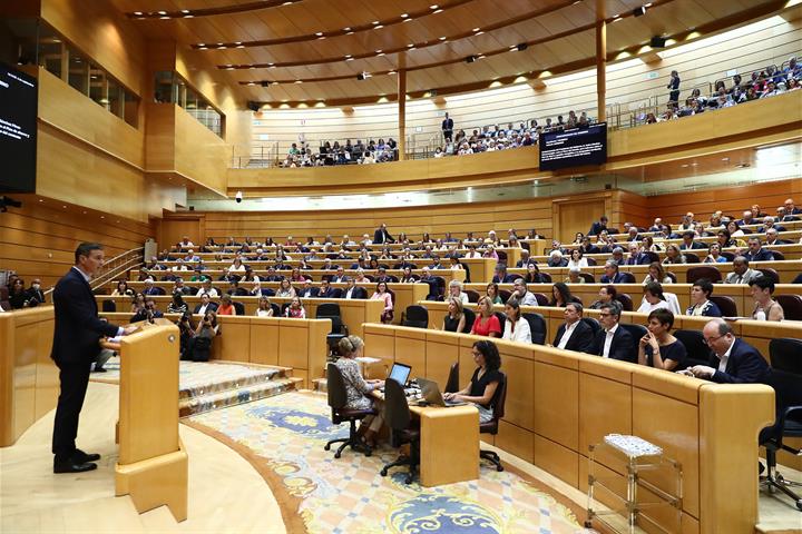 El presidente del Gobierno, Pedro Sánchez, durante su comparecencia en el Pleno del Senado