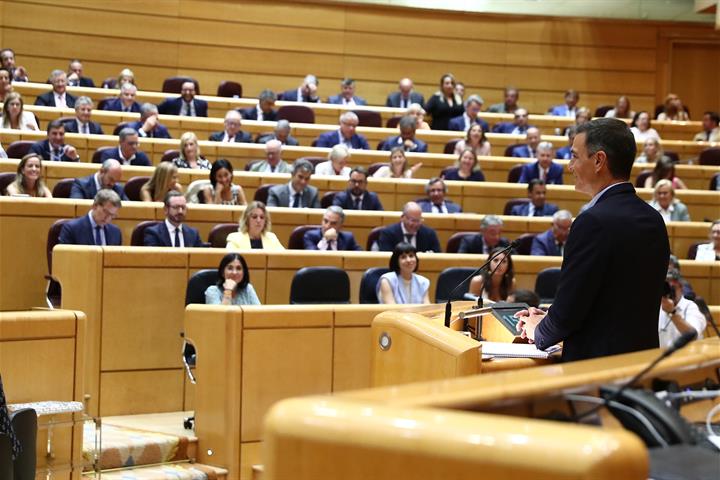 El presidente del Gobierno, Pedro Sánchez, durante su comparecencia en el Pleno del Senado