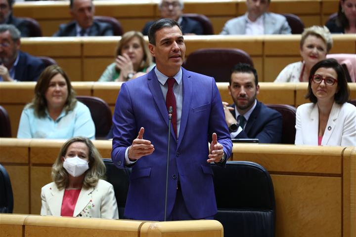 El presidente del Gobierno Pedro Sánchez, durante su intervención en el Senado