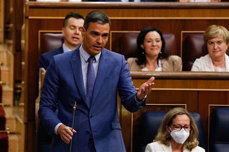 8/06/2022. S&#225;nchez, en la sesi&#243;n de control al Gobierno en el Congreso. El presidente del Gobierno, Pedro S&#225;nchez, responde en la sesi&#243;n de control.