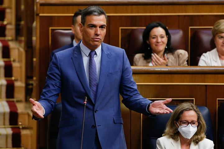 Pedro Sánchez durante su intervención en el Congreso
